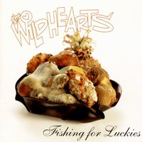 Sky Babies - The Wildhearts