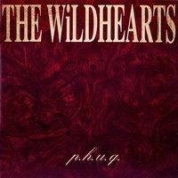Naivety Play - The Wildhearts