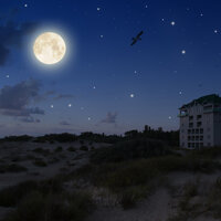 Breath of Eons - Lullabys Baby Club, Spa Music Collective, Buddha Chill, Spa Music Collective, Buddha Chill