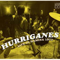 Blue Suede Shoes - Hurriganes