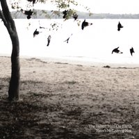 Criminals - The Tallest Man On Earth