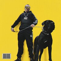 Подкрадули - КОРНЕЙ