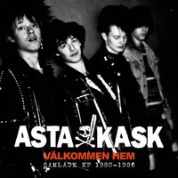 PS 474 - Asta Kask