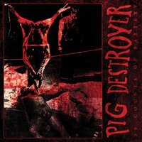 Pixie - Pig Destroyer