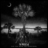 Bag Of Blades - WVRM