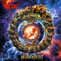 March Towards the Dawn - Vile