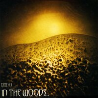 I Am Your Flesh - In The Woods...