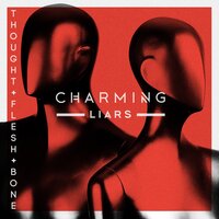 Something Dark - Charming Liars