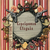 Не стыдно - Серебряная свадьба