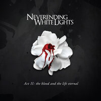 Distance - Neverending White Lights