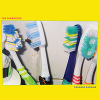 Face First - The Paranoyds