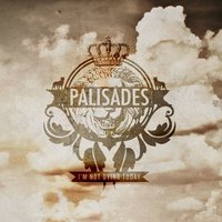 Bury It - Palisades