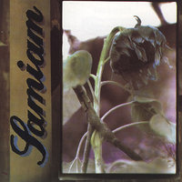 Television - Samiam