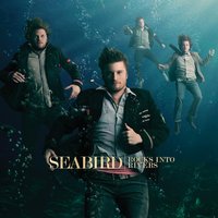 Believe Me - Seabird