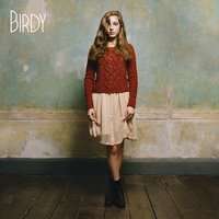 The District Sleeps Alone Tonight - Birdy