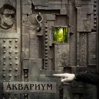 Тайный узбек - Аквариум