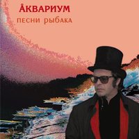 Зимняя роза - Аквариум