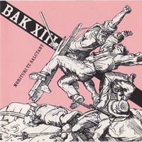 Vskmr - BAK XIII