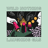 Blue Wings - Wild Nothing