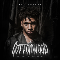 Shotta Flow - NLE Choppa, blueface