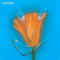 What Separates Us - Moaning