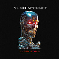 Lekker - Yung Internet