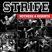 Torn Apart - Strife