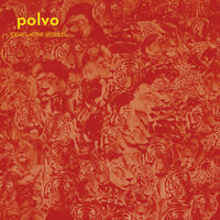 Stinger (Five Wigs) - Polvo