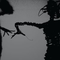 Dynamite Steps - The Twilight Singers