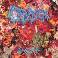 Deformed Insanity - Cadaver