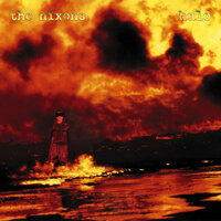Having Fun - The Nixons