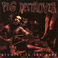 Hyperviolet - Pig Destroyer