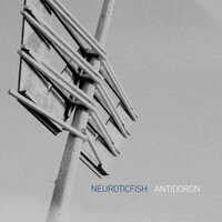 Invisible - Neuroticfish