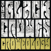 Morning Song - The Black Crowes