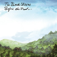 So Many Times - The Black Crowes