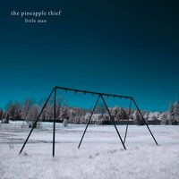 Wilting Violet - The Pineapple Thief