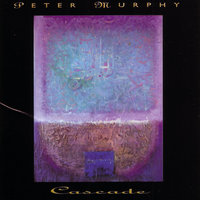 Disappearing - Peter Murphy