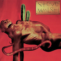 Nothing - Steve Walsh