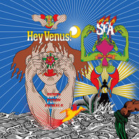 Into The Night - Super Furry Animals