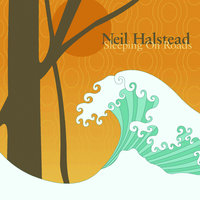 Dreamed I Saw Soldiers - Neil Halstead
