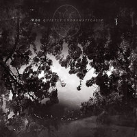 The Road from Recovery - Woe
