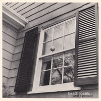 Adversity - Beach Fossils