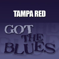 You Missed a Good Man - Tampa Red