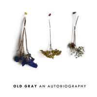Coventry - Old Gray