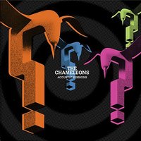 Here Today (Strip) - The Chameleons