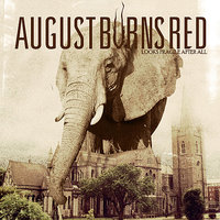 You Should Be Taking Flight Now - August Burns Red