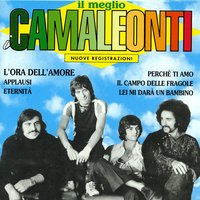 Viso d'angelo - I Camaleonti
