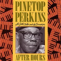 I'm Your Hoochie Coochie Man - Pinetop Perkins