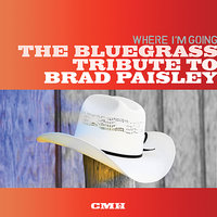 Celebrity - Pickin' On Series, Brad Davis