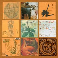 Ape-like - Califone